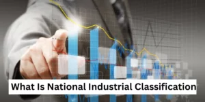 What Is National Industrial Classification