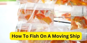 How To Fish On A Moving Ship