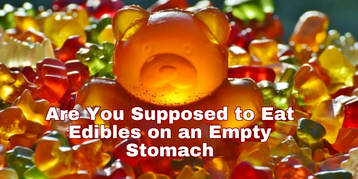 Are You Supposed to Eat Edibles on an Empty Stomach