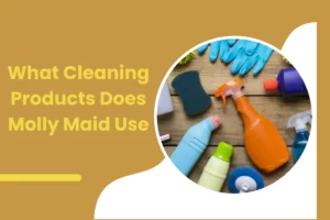 Secrets of Molly Maid's Cleaning Products