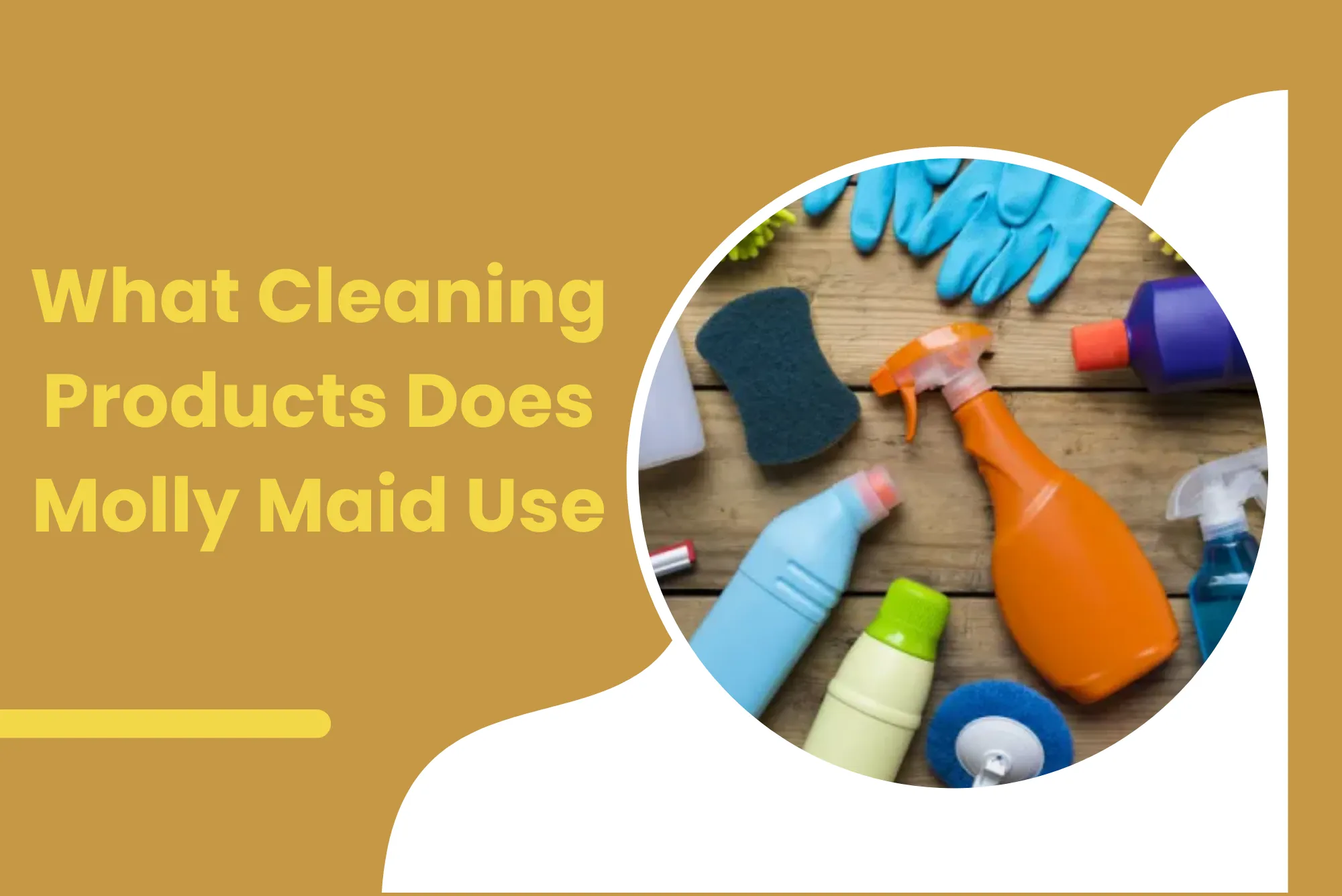 Secrets of Molly Maid's Cleaning Products